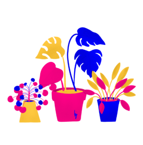 Illustration de 3 plantes dessinée par Barbara Josa